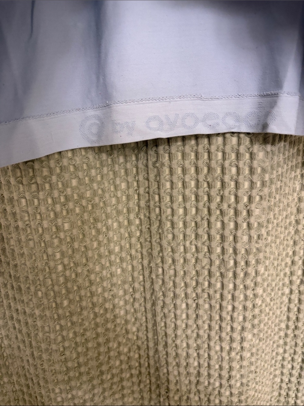 avocado Light blue Cropped Crewneck Tee - Picture 3 of 4